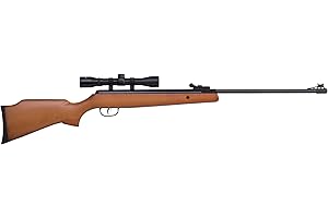 Benjmain Prowler .22 Air Rifle