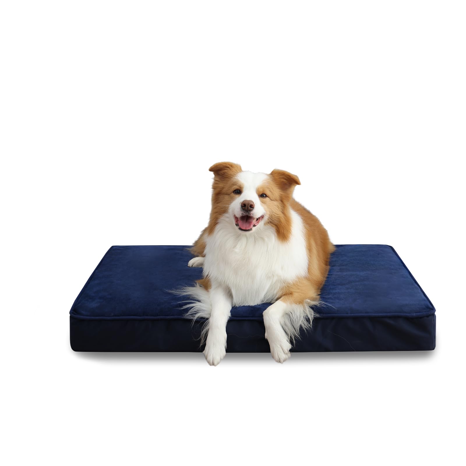 Jaspuriea Large Dog Bed Washable with Waterproof Removable Cover, Orthopedic Dog Bed with Anti-Slip Bottom