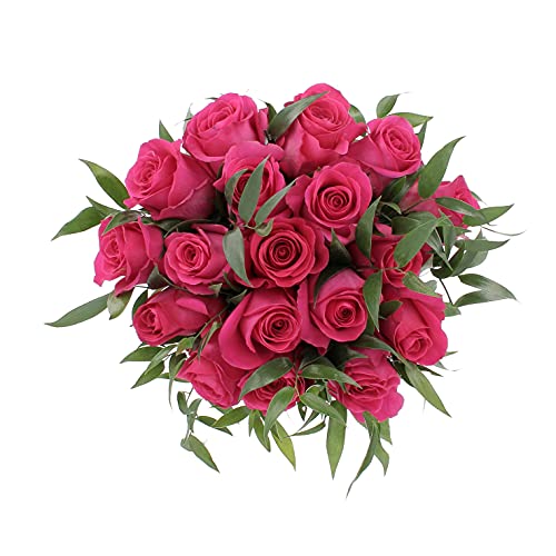 KENTIS - Bouquet di 18 Rose Fucsia a Stelo Lungo