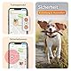 Weenect Hund XT - NEUES GPS-Halsband für Hunde | XL-Antenne | Wasserdicht | Hyperresistentes integriertes Julius-K9 Halsband Rot Abonnement erforderlich