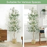 Caxchiling Faux Olive Tree 6FT, Artificial Potted Tree with Planter, Silk Plants Indoor Outdoor, Lifelike Olive Plants with Natural Wood Trunk, Fruits and Buds, Home Office Decor, 1 Pack - Image 5