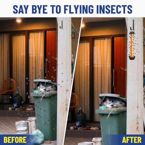 Gatch G591 Fruit Fly Trap (3 Pack), Fly Stick For Mosquitoes thumb #2