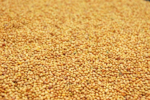 Crimson Clover Seed By Eretz (5Lb) - Choose Size! Premium Willamette Valley, Oregon Grown Non-Gmo Seed, No Coating, No Fillers, No Treatment. #TOP2