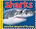 Sharks: And Other Dangers of the Deep (Smart Kids)