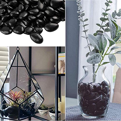 Image of Black Pebbles for Decoration and Pebbles for Plants Pots, Table Decor, Home Decor, Vase Fillers - Decorative Pebbles Stones (1.9 Kgs, Black Pebbles)