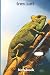 Produktbild Classic Lined Notebook: Green Lizard, Journal for Writing, Lizard on the Tree Theme (Colorful Soft Cover, White Paper, 100 Pages, Size 6" x 9")