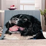 DILANI Couverture Polaire Enfant 100x130cm Chien De Terre-Neuve Plaid Couverture Polaire en Microfibre Super Douce Chien Animal Peluche Couverture Flanelle pour Fille garçons bébé Toutes Les Saisons