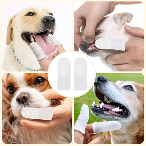 KEYRI 30 Stück Fingerförmige Hundezahnbürste 360° Pets Zähne Reinigung Zahnpflege Zahnreinigung Anti-Plaque Haustierzahnbürste Pet Finger Zahnbürste für Hunde (Weiß, Einheitsgröße)