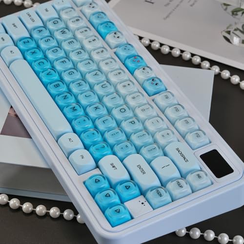 130 Tasten PBT Dye Sub Jelly Keycaps MOA Profil Tastenkappen Kompatibel mit Wooting Tastatur 61/64/87/104/108 Cherry Mx Switches Mechanische Tastaturen (Blau)
