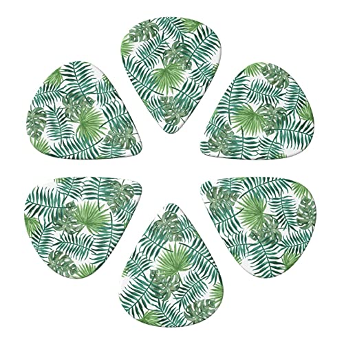 Lot de 6 médiators transparents en forme de feuille de palmier pour guitare acoustique, guitare électrique, basse… - Les Beatles, Paul McCartney, John Lennon, RIngo Starr, George Harrison Lot de 6 médiators transparents en forme de feuille de palmier pour guitare acoustique, guitare électrique, basse… – Image 5