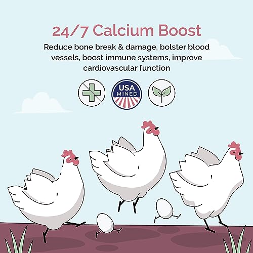 Mile Four OYSTER_SHELL_4 Oyster Shell For Chickens | Calcium thumb #4