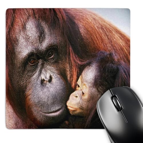 3dRose LLC 8 x 8 x 0.25 Inches Mouse Pad, Orangutan N Baby (mp_53282_1)