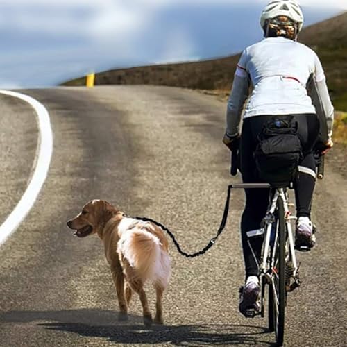 Laisse de chien de vélo mains libres fixation rétractable robuste
