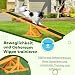 PawHut Hundewippe Hunde Agility Wippe Holz Welpenspielzeug Agility Training Hundesport für große Hunde Natur 180 x 30 x 30 cm