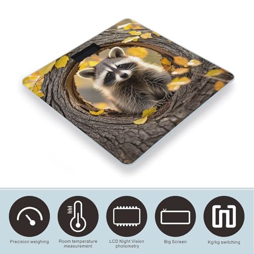 Báscula digital de baño con vidrio templado y pantalla LCD miniatura 3