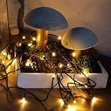 HELLUM LED ?a?cuch ?wietlny na zewn?trz lub do wewn?trz | ?a?cuch ?wietlny o ciep?obia?ym ?wietle z timerem | ?a?cuch ?wietlny z 120 diodami LED | z zielonym kablem poni?ej 59 lumenów | 577372