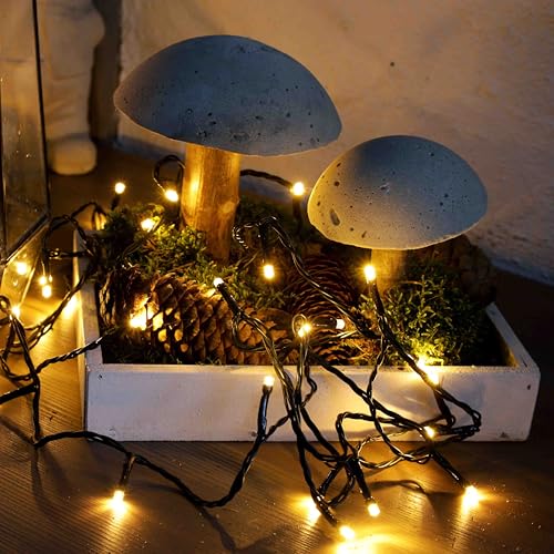 HELLUM LED ?a?cuch ?wietlny na zewn?trz lub do wewn?trz | ?a?cuch ?wietlny o ciep?obia?ym ?wietle z timerem | ?a?cuch ?wietlny z 120 diodami LED | z zielonym kablem poni?ej 59 lumenów | 577372