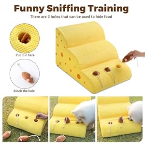 Pet-Ramp-for-Small-Dogs-to-Get-on-Couch-or-Low-Bed-3-Tiers-Gently-Sloping-Design-High-Density-Foam-Dog-Stairs-Pet-Steps-for-Older-Cats - Cucciolini Doodles Pet-Ramp-for-Small-Dogs-to-Get-on-Couch-or-Low-Bed-3-Tiers-Gently-Sloping-Design-High-Density-Foam-Dog-Stairs-Pet-Steps-for-Older-Cats