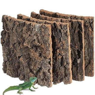 SHINEOFI lot de 4 plaques de liège 15 x 15 cm pour terrarium
