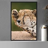 Framed Canvas Wall Art Cheetah Animals Cheetah Dramatic Living Room Multicolor Photography - 16x24 inches