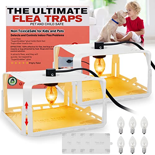 Find The Best Flea Control For Home Reviews & Comparison Katynel