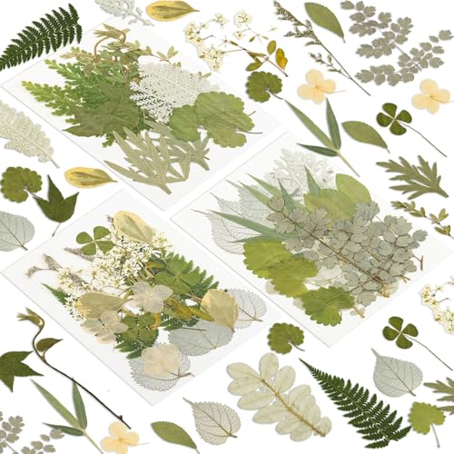 Image of 163 Pcs Dried Pressed Flowers for Resin Crafts, Real Natural Pressed Flowers and Leaves Kit Butterfly Stickers Vacuum Sealed Dry Flowers for DIY Epoxy Resin Jewelry Molds, Candle Soap Making, Nail Art