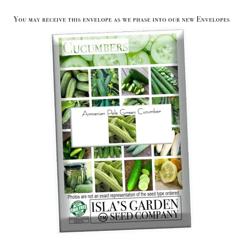 Armenian Pale Green Cucumber Seeds For Planting, 100+ Heirloom Seeds Per Packet, (Isla's Garden Seeds), Non Gmo Seeds, Botanical Name: Cucumis Sativus, Great Home Garden Gift #TOP1