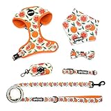 EPETKO Small Dog Harness and Leash Set of 6, No Pull Soft Lightweight Mesh Puppy Harness, Adjustable Cute Floral Pattern Pet Harness for Small Medium Dogs