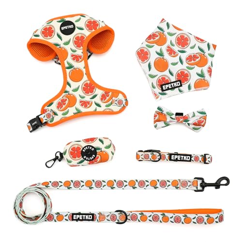 EPETKO Small Dog Harness and Leash Set of 6, No Pull Soft Lightweight Mesh Puppy Harness, Adjustable Cute Floral Pattern Pet Harness for Small Medium Dogs