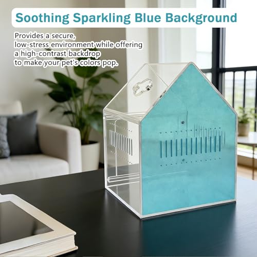 Image of Magnetic Acrylic Spider Enclosure 5.3x5.3x7.3 Inch, House Shape Terrarium with Blue or Purple Background for Jumping Spiders, Tarantula Slings & Mantis, Escape-Proof Habitat (Blue)