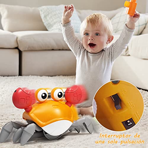 Reviews y listado de Cangrejera bebe Igor favoritos de las personas. 18 Imagen adicional
