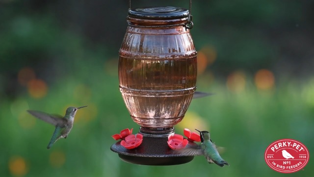 Perky-Pet Kolibri-Futterstation – Einfach Befüllbar & Bienensicher