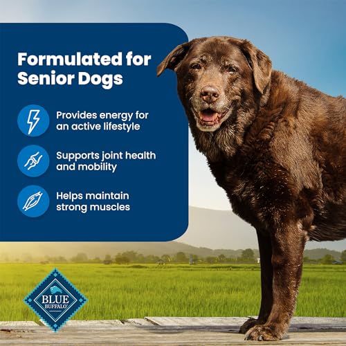Blue-Buffalo-Life-Protection-Formula-Senior-Dry-Dog-Food-Supports-Joint-Health-and-Mobility-Made-with-Natural-Ingredients-Chicken-Brown-Rice-Recipe-30-lb-Bag