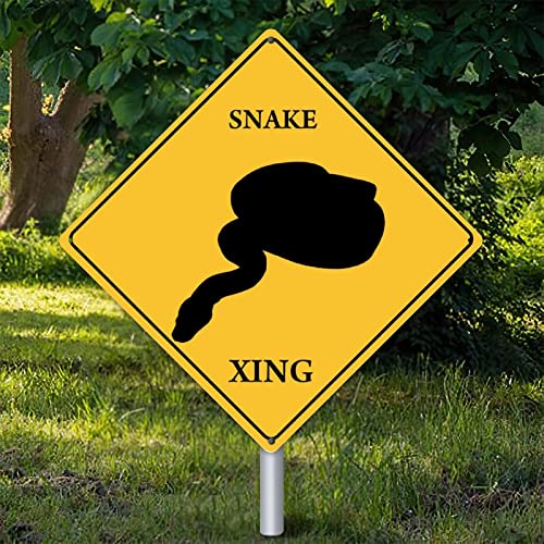 Plaque murale serpent jaune Xing en métal vintage 38x38 cm pour décoration extérieure et garage