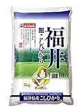 【精米】福井県 白米 コシヒカリ 5kg 令和6年産