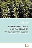 FURROW IRRIGATION AND SALINIZATION: Impacts of Furrow-bed and Furrow-ridge on Salinity and Wheat Production