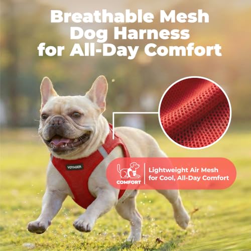 Image of Voyager Step-in Air Dog Vest Harness - Red, XX-Small | 12 - 13.5 inch in Chest, Reflective Bands, All Weather Breathable Air Mesh, Cats Compatible, Lightweight, Fast Drying