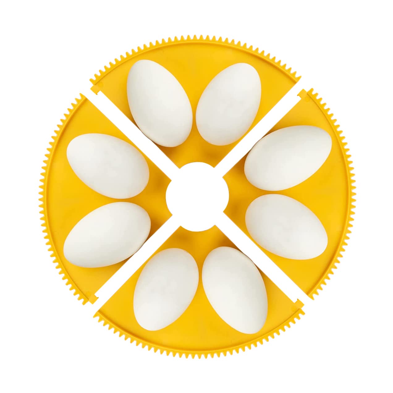 Bandejas para Incubadoras Brinsea Maxi - Bandejas Incubación de Huevos - Varias Capacidades - Para Diferentes Tamaños de Huevos - Sistema Antibacteriano - Capacidad 8 huevos extragrandes (4 cuartos)