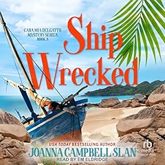 Ship Wrecked cover art