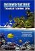 Produktbild Discover The Blue - Tropische Meerestiere