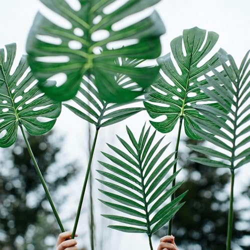 The King You Want vs. The King You Need - John 12:12-19 KJV