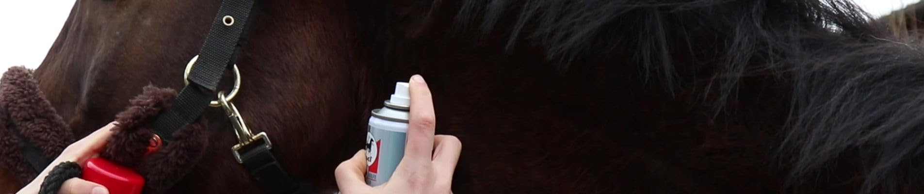 Leovet Primeros Auxilios Spray de Óxido de Zinc | 200 ml | Producto de Cuidado para Caballos | para Cubrir Heridas