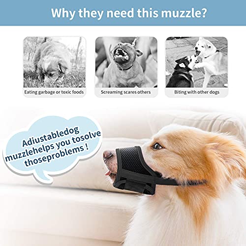 https://m.media-amazon.com/images/I/51e4pMHyBGS._SL500_.jpg