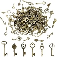 SARAHLOUISEJENKINSLTD 150 Piezas De Bronce Antiguo Esqueleto