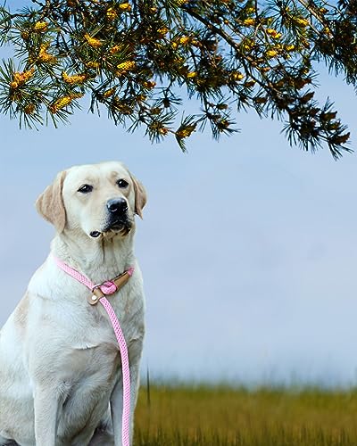 Lynxking KPSL Dog Leash Slip Lead 5 6 8 Ft Dog Training Leash Strong Heavy Duty Braided No Pull Training Lead Leashes thumb #6