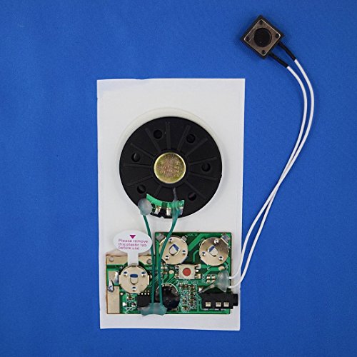 Best Mini Voice Recorder For Crafts