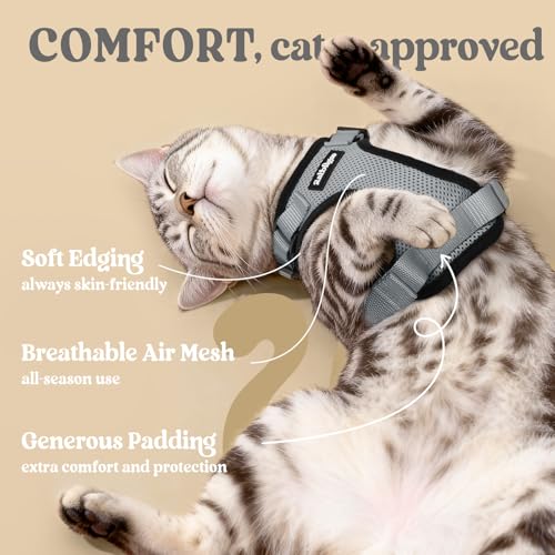 Image of rabbitgoo Cat Harness and Leash Set, Escape Proof Vest, Grey | Soft Breathable Mesh, Easy Adjustable Fit, Snap Buckles, Sturdy Clip, Reflective Strips, for Small & Average Cats Walks, Xs