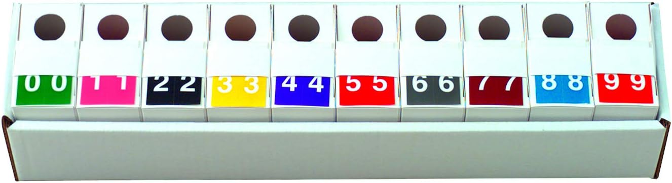 Doctor Stuff - File Folder Labels, Number 9, S & W KKL Match - SWNM Series Chart Stickers, Orange, 1-1/2" x 1-1/2", #9, 500/Roll