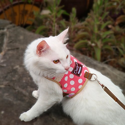 Image of Cat Harness and Leash for Walking Escape Proof, Adjustable Cat Vest Harness, Padded Stylish Cat Walking Jackets, Polka Dot Pink, Medium
