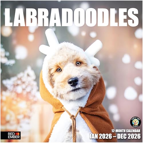Image of RED EMBER Labradoodles 2026 Wall Calendar 12 Month | 12 inch x 24 inch Open | Thick & Sturdy Paper | Giftable | Cute Labrador Retriever Poodle Puppy Dog Calendar 2026